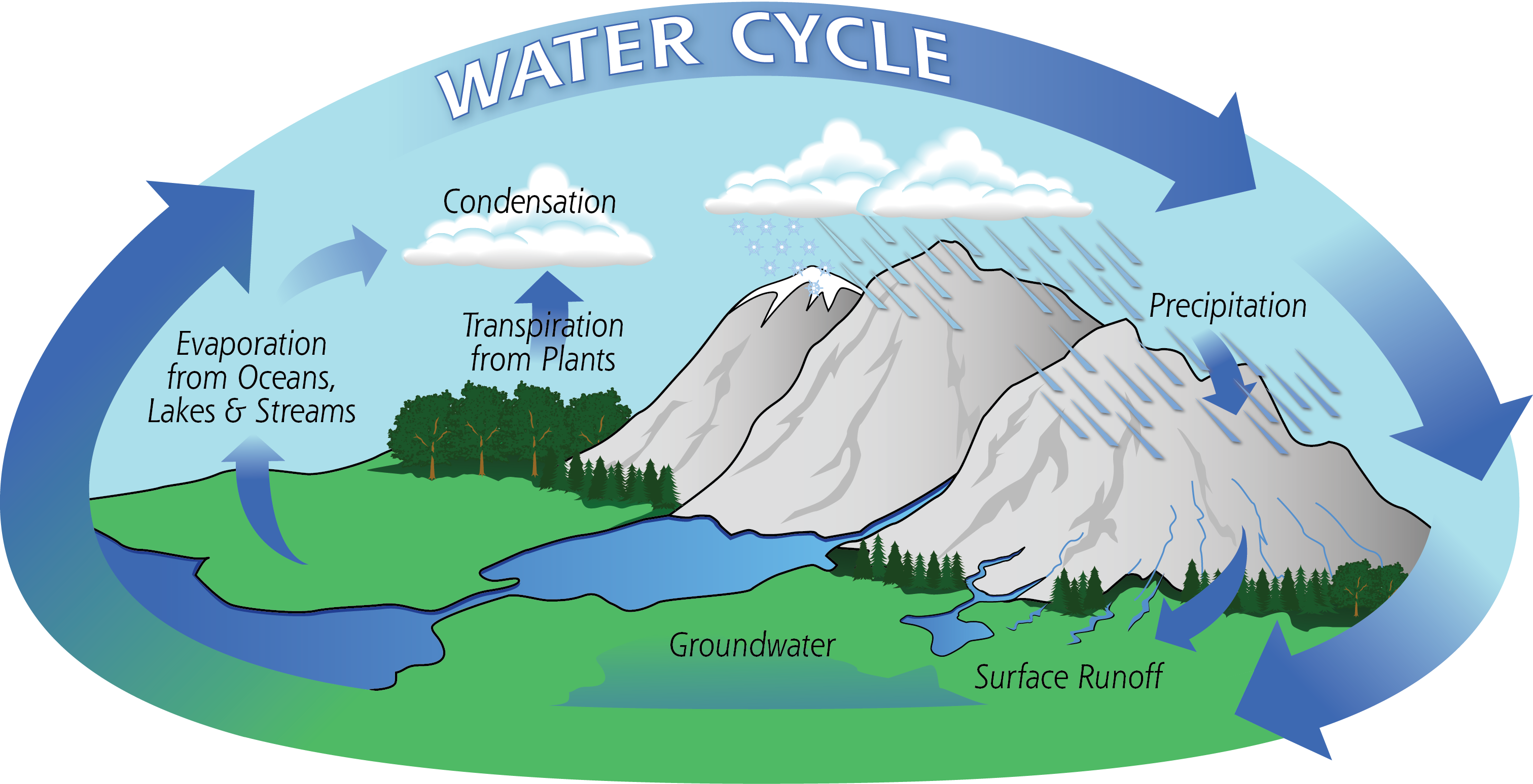 Water Cycle Facts 56