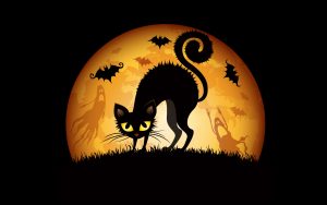 halloween-cat